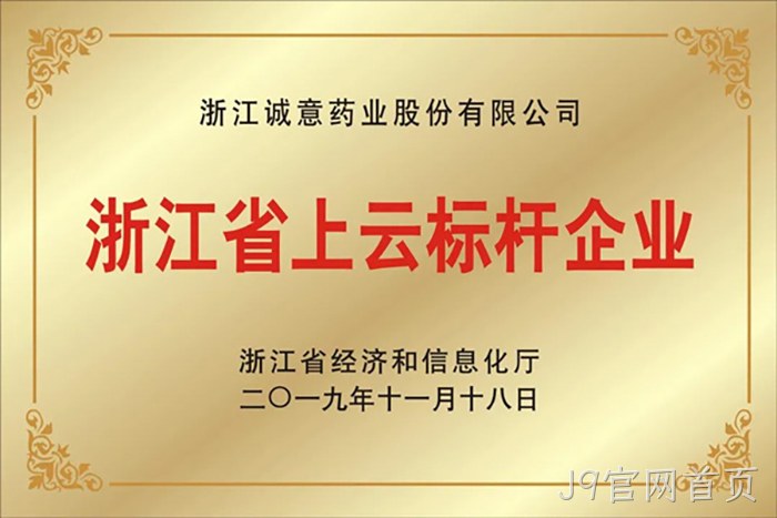 浙江省上云标杆企业 浙江省上云标杆企业